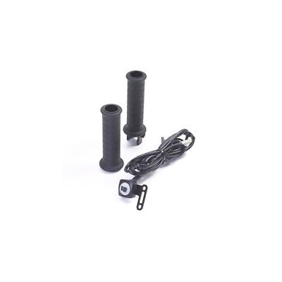 TRIUMPH Heated Grip Kit